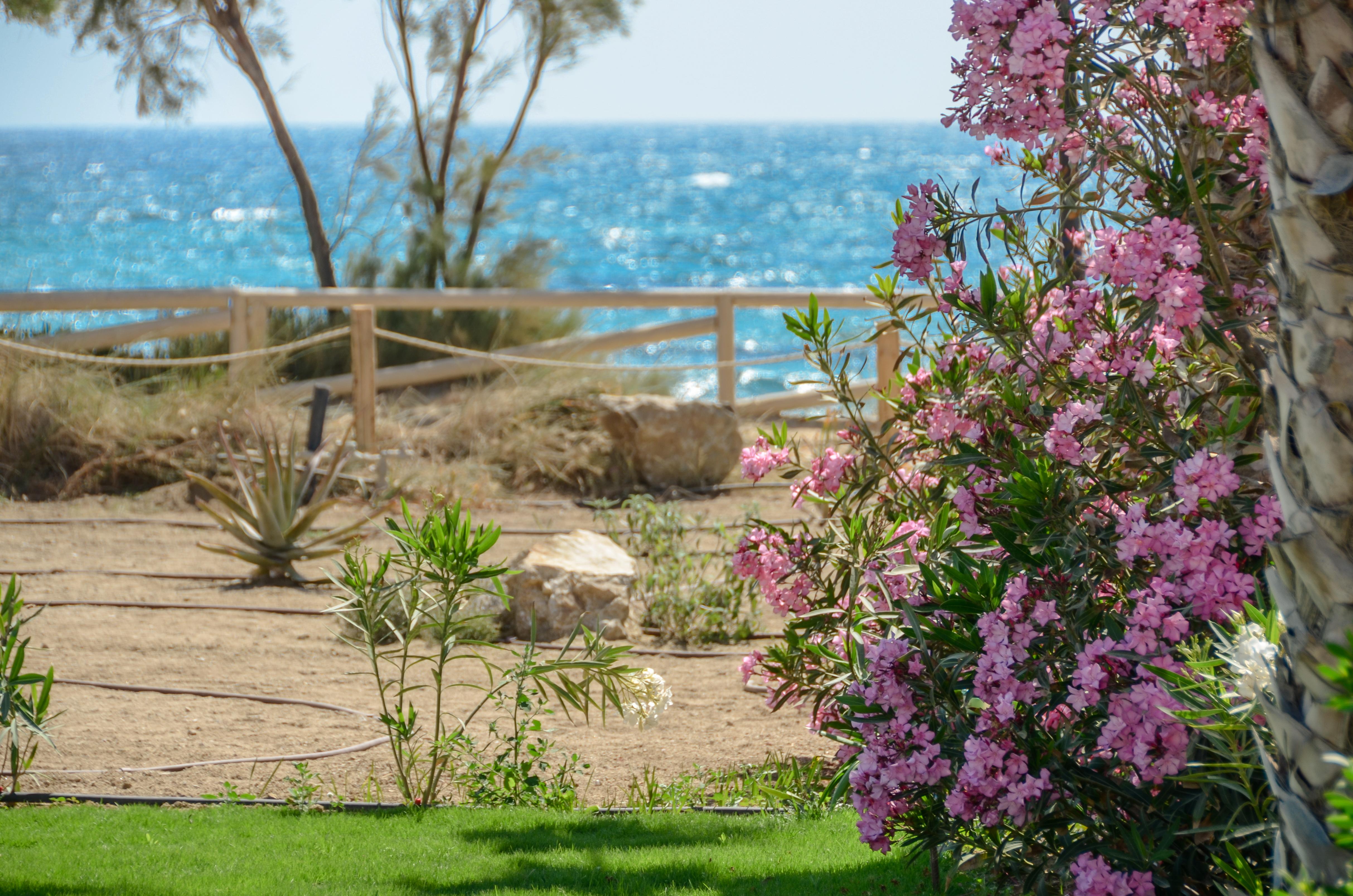 Glaronissi Beach Maragkas Buitenkant foto