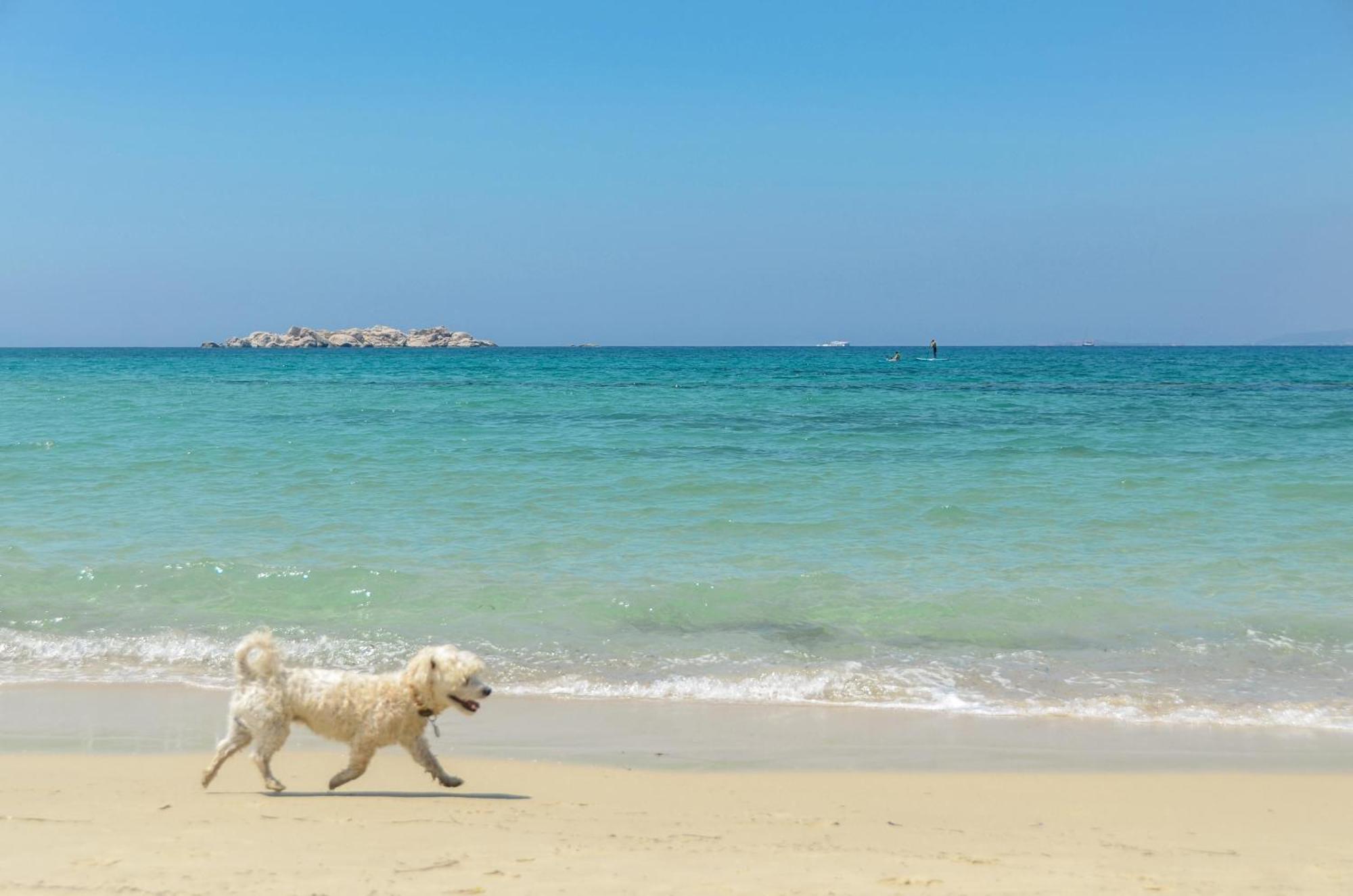 Glaronissi Beach Maragkas Buitenkant foto